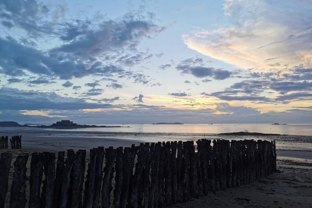 Savannah Saint-Malo
